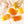 Load image into Gallery viewer, Vitality Gold Honey